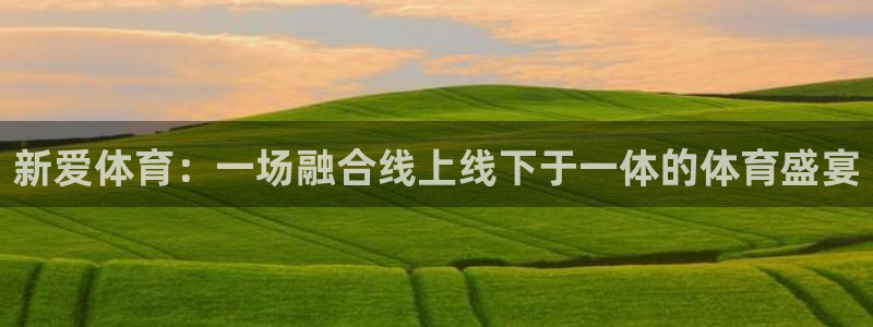 新爱体育：一场融合线上线下于一体的体育盛宴