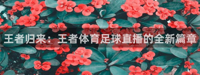 王者归来：王者体育足球直播的全新篇章