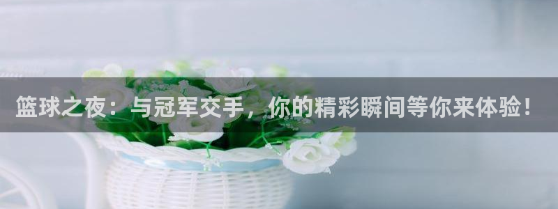 篮球之夜：与冠军交手，你的精彩瞬间等你来体验！